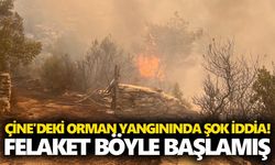 Çine'deki orman yangınında şok iddia! Felaket böyle başlamış
