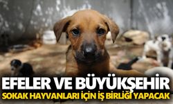 Başkan Yetişkin’e yetki verildi! Efeler ve Büyükşehir arasında protokol imzalanacak
