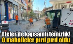 Efeler'de kapsamlı temizlik! O mahalleler pırıl pırıl oldu