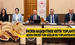 Aydın'dan dünyaya 42 bin ton! İncirde kritik sezon öncesi zirve