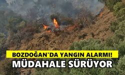 Bozdoğan'da alevler yükseldi
