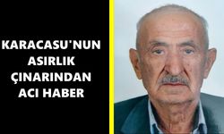 Karacasu'nun asırlık çınarından acı haber