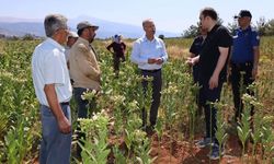 Karacasu'nun çiftçi dostu kaymakamı