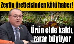 Karakoz’dan sert uyarı: “Zeytin ve zeytinyağı sektörü çöküşte”