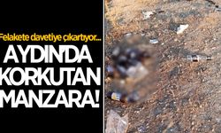Aydın'da korkutan manzara! Felakete davetiye çıkarıyor