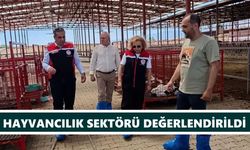 Müdür Temiz'den Ergüler'in işletmesine ziyaret