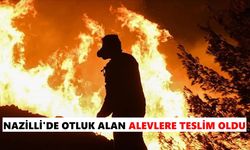 Nazilli’de otluk alan alevlere teslim oldu