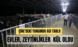 Aydın Çine'de alevlerle savaş sürüyor