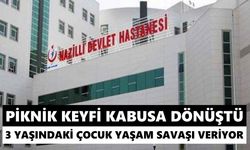 Piknik keyfi kabusa dönüştü: 3 yaşındaki çocuk yaşam savaşı veriyor