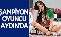 Aydın BŞB transferde hız kesmiyor