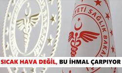Sıcak hava değil, bu ihmal çarpıyor