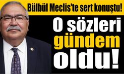 TBMM'de tansiyon yükseldi! CHP'li Bülbül'den dikkat çeken sözler