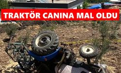 Traktör canına mal oldu