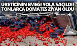 Üreticinin emeği yola saçıldı! Tonlarca domates ziyan oldu