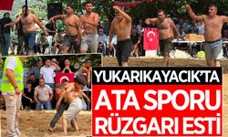 Aydın'da pehlivanlar er meydanına çıktı