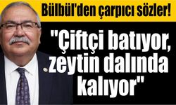 Zeytin ağaçta kaldı! Bülbül yaşanan krizi Meclis'e taşıdı