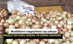 Mutfakların vazgeçilmezi cep yakıyor