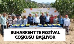 Buharkent'te Festival coşkusu başlıyor