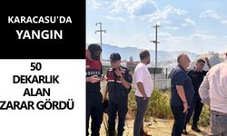 Karacasu'da yangın