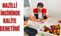 Nazilli incirinde kalite denetimi