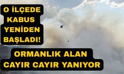 Orman yangınına ekipler havadan ve karadan müdahale ediyor