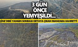 3 gün önce yemyeşildi... Çine'deki yangın sonrası ortaya çıkan manzara kahretti