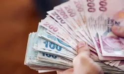 Bu işi yapana 110 bin lira maaş veriyorlar!