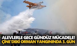 Alevlerle gece gündüz mücadele! Çine'deki orman yangınında 3. gün