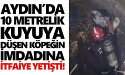 Aydın’da 10 metrelik kuyuya düşen köpeğin imdadına itfaiye yetişti!