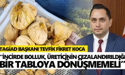 Aydın’da incir sezonu öncesi üreticinin gözü fiyatta!