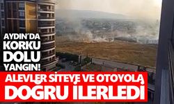 Aydın’da korku dolu yangın! Alevler siteye ve otoyola doğru ilerledi