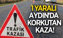 Aydın'da korkutan kaza! 1 kişi yaralandı