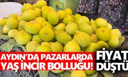 Aydın’da pazarlarda yaş incir bolluğu! Fiyat düştü