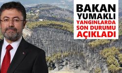 Bakan Yumaklı yangınlarda son durumu açıkladı