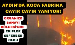 Aydın'da korkutan fabrika yangını