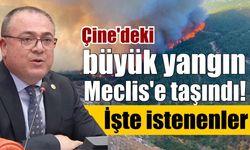 Çine yangını için flaş hamle! Karakoz Meclis'i harekete geçirdi