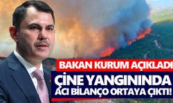 Çine yangınında acı bilanço ortaya çıktı! Bakan Kurum açıkladı