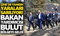 Çine’de yangın yaraları sarılıyor! Bakan Yardımcısı Bulut bölgeye geldi