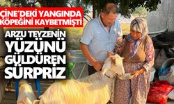 Çine’deki yangında köpeğini kaybetmişti: Arzu teyzenin yüzünü güldüren sürpriz