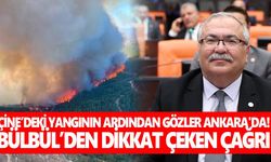 Çine’deki yangının ardından gözler Ankara'da! Yeni Partili Bülbül’den dikkat çeken çağrı