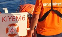 Devlet kurumundan 173 kişiye iş fırsatı! Başvurular İŞKUR üzerinden yapılacak