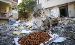 Didim’de o tesis için kritik karar! Artık resmen onaylı