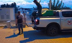 Didim’de sinek ve haşerelere karşı seferberlik! Ekipler sahada