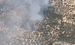 Germencik’te korkutan yangın!