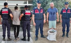 Aydın'da incir sezonu başladı, hırsızlar da sahaya indi! 30 kilo incirle suçüstü