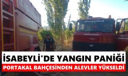 İsabeyli'de yangın paniği