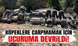 Köpeklere çarpmamak için uçuruma devrildi!