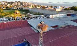 Kuşadası’nda iki kardeşten biri kayboldu: Gerçek sonradan ortaya çıktı