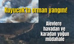 Kuyucak'ta orman yangını! Alevlere havadan ve karadan yoğun müdahale