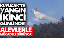 Kuyucak’ta yangın ikinci gününde! Alevlerle mücadele sürüyor